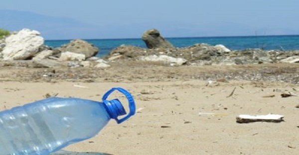 Sicurezza alimentare e HACCP - MICROPLASTICHE E NANOPLASTICHE NEGLI ALIMENTI