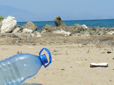 Sicurezza alimentare e HACCP - MICROPLASTICHE E NANOPLASTICHE NEGLI ALIMENTI